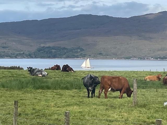 Plockton, Camus Fearn Barn Villa Luaran gambar